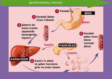 Karbonhidratların bileşeni olan glikoz altı karbonlu monosakkaritlerdendir. FuRKaN ANıL