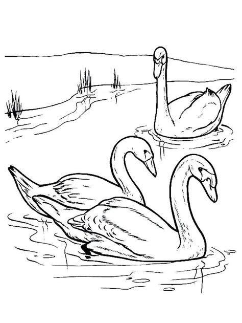 Coloring pages, fargelegge tegninger, kids, lake, swan previous post :print out fruits strawberry coloring pages. Swan Lake | Coloring pages, Animal coloring pages, Swan lake