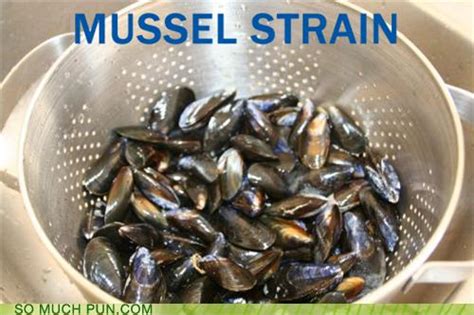 Laugh at 47 really funny cat puns and jokes. Puns - mussels - Funny Puns - Pun Pictures - Cheezburger