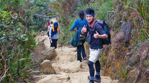 Dreamtel kota kinabalu is located in kota kinabalu and is 240 metres from atkinson clock tower. Good Deed Raises Awareness of Our Actions on Mount ...