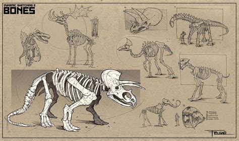 We provide comprehensive instruction for concept art, illustration, and entertainment design. CGMA | Sketches, Dinosaur sketch, Animal sketches