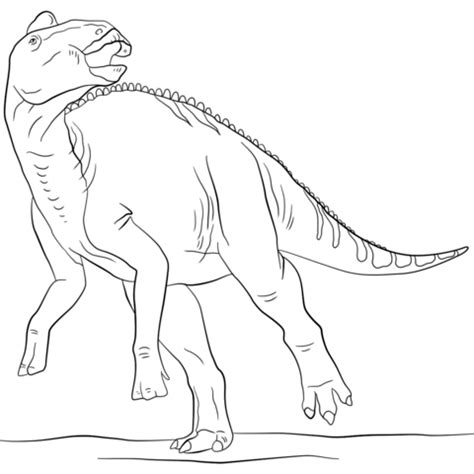 Der dinosaurier lebte forschern zufolge vor rund 100 millionen jahren im heutigen patagonien im süden argentiniens. Mosasaurus Ausmalbild