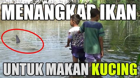 Kehilangan nafsu makan bisa disebabkan oleh berbagai faktor, misalnya cemas, depresi, atau efek samping penggunaan obat tertentu. Menangkap ikan untuk makan Kucing - YouTube