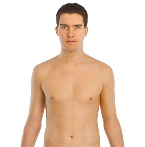 Measure horizontally around the body at the strongest part of the chest with a tape measure. File:Upper body front.png - Wikimedia Commons