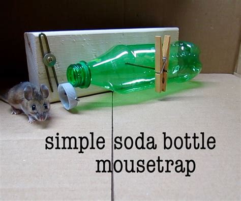 You walk into your food storage and there are telltale signs that a mouse has had a feast with your food. Diy Simple Soda Bottle Mousetrap : 11 Steps (with Pictures ...