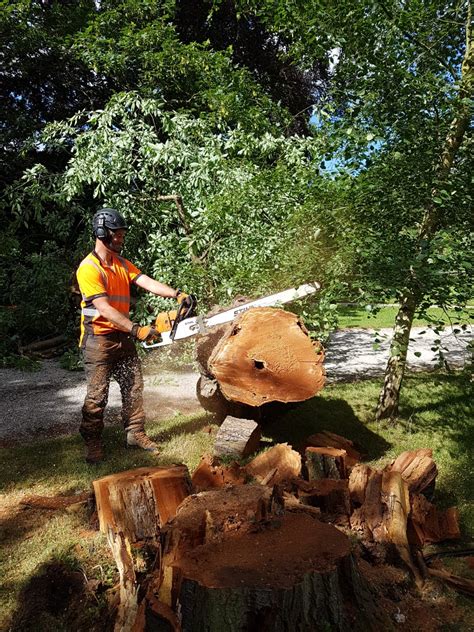 Highly trained and experienced tree trimmers may be eligible to apply for a registered consulting arborist (rca) credential through the american society of consulting arborists (asca). What is an arborist? Its not a secret, they're tree surgeons
