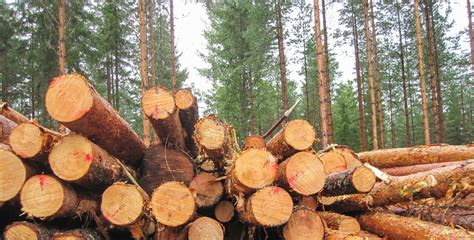 Check spelling or type a new query. NAHB: Here's how the Canadian lumber tariffs add to the ...