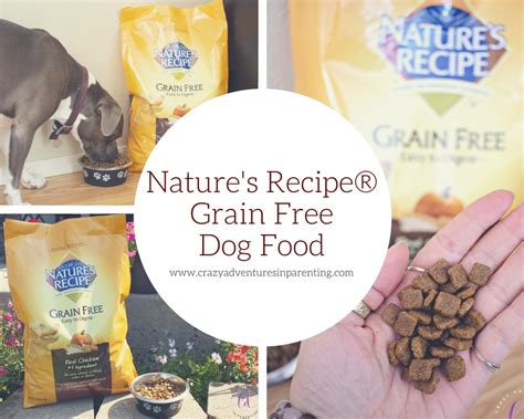 This product has 2 controversial ingredients but does not have any artificial preservatives, colors or flavors. Nature's Recipe Grain Free Dog Food at Walmart | Crazy ...