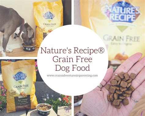 Grain free dog food does not contain grains such. Nature's Recipe Grain Free Dog Food at Walmart | Crazy ...