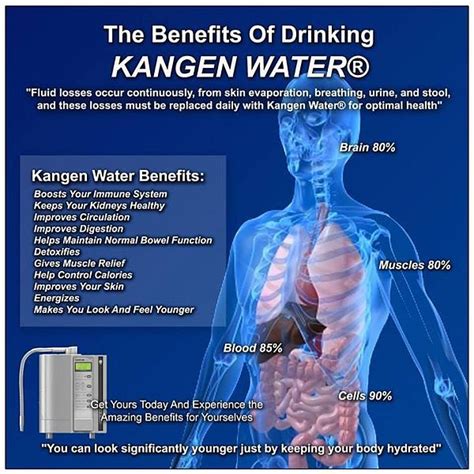 Manakala soda adalah air minum yang dicampurkan dengan karbon dioksida; KANGEN WATER MALAYSIA: Kebaikan minum air kangen