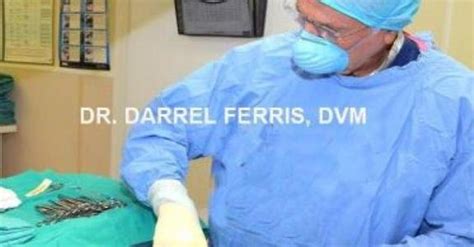 Your pet's health and well being is very important to us and we will take every step to give your pet the best possible care. Darrel L Ferris, DVM - Santa Fe Animal Hospital ...