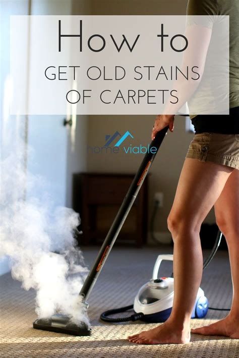 Check spelling or type a new query. How to Get Old Stains out of Your Carpet For Good | How to ...