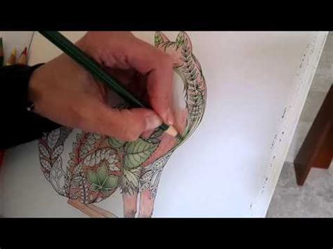 Fox art coloring books enchanted forest coloring book johanna basford enchanted forest. Enchanted Forest, Fixing a Fox - YouTube