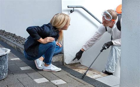 We began using absolute pest control as a preventative service, to ensure that our new house was as comfortable (bug and rodent free!) as possible. Expert Pest Control Advice - Bug Ninja Pest Control