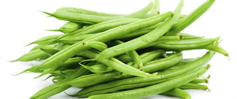 Connect with topdawg's growing network of verified and vetted suppliers for all things home, garden, fashion, kids, auto, marine, sports, electronics, farm and pet. Green Beans Pet Food Ingredient Suppliers | Buy in Bulk ...