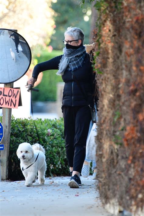 Lifestyle 2020 ★ jamie lee curtis' net worth 2020 help us get to 100k subscribers! Jamie Lee Curtis - Holiday Shopping in Brentwood 12/20 ...