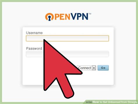 Be reported by another user: How to Get Unbanned from Omegle: 15 Steps (with Pictures)