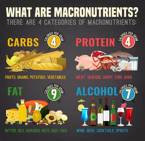 Learn how to incorporate carbohydrates into a healthy diet. What Are Macros and Why Are They So Important? | Kimberly ...