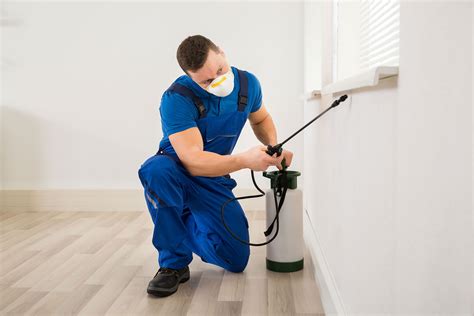 We are an experienced and expert 24 hour pest control london team who can deal with many and all sorts of pest infestations from. Pest Extermination Services | Envirosafe Pest Control Ltd