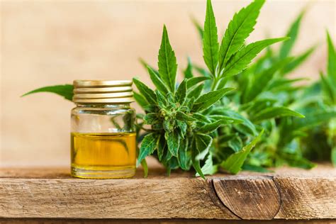 Cbd oil dosages are hard to calculate, especially when it's your first time. CBD Oil For Gout: Does It Really Works | How To Cure