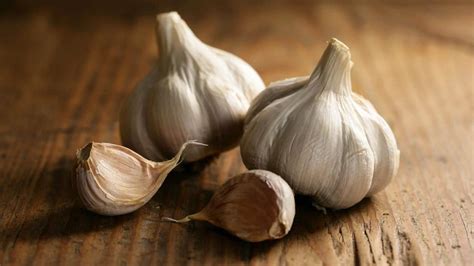Other people prefer garlic powder because is disperses the flavor more evenly than fresh minced garlic. How Much Garlic Powder Equals One Clove? - The Housing Forum