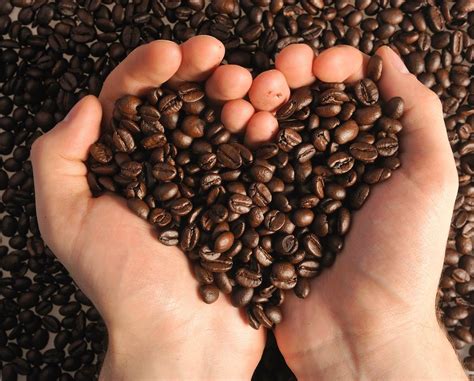 Small toddler of the african american descent. 8 Handy Household Uses for Coffee | Coffee lover, Coffee beans, Beans