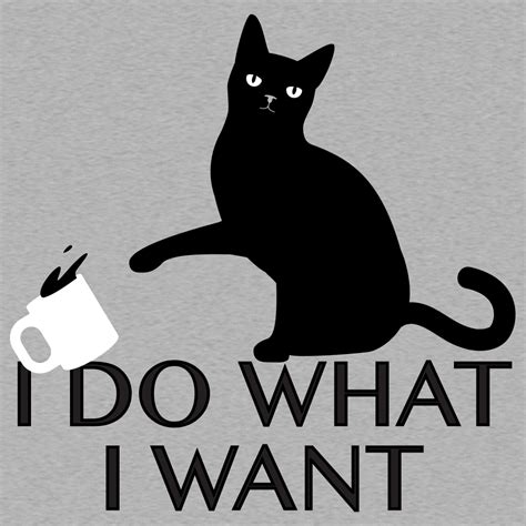 Oh and sorry for my bad grammar, again english isn't my first language. I Do What I Want Cat T Shirt