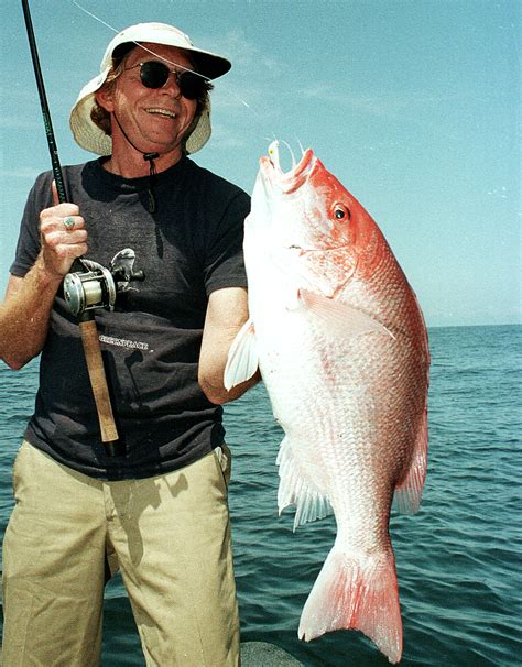 Highly esteemed reddish lean flesh of snapper from atlantic coast and gulf of mexico 2. Recreational red snapper season in Gulf extended - Houston ...