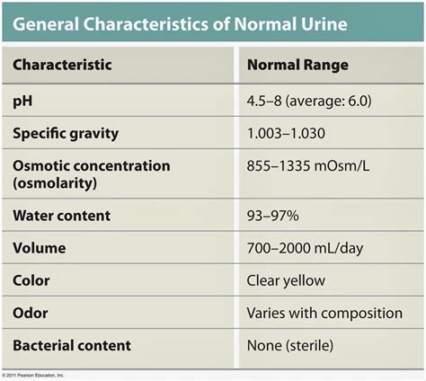 Jamie's Nursing Notes: Health Differences: Ch 37, Urinary Elimination