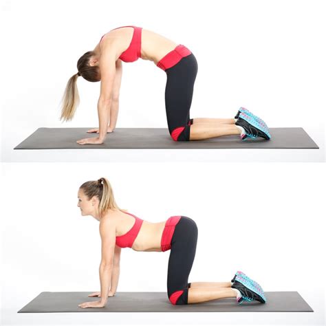 Cat pose to cow pose. Cat-Cow Pose | Morning Stretch Routine | POPSUGAR Fitness ...