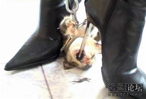 Vintage film china cat 7 min. Kitten Killed By High Heels | Tsaa Heel