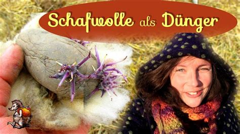 Mdr gartenexpertin brigitte goss experimentiert in ihrem garten mit roher schafwolle und verwendet sie als mulchmaterial, zum abhalten von fraßfeinden sowie als. Schafwolle 🐑 als Dünger im Garten - YouTube