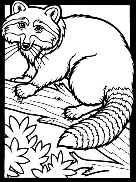 Here is a small collection of autumn coloring fall coloring pages printables for your kid, including some detailed pictures and scenes from the fall season. Free Printable Raccoon Coloring Pages For Kids