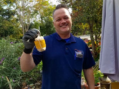 What to expect on an inspection. Subterranean Termite Control in Santa Clara County ...