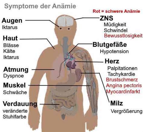 Vitamin B12 Mangel | Heimtest-Schnelltests.deHeimtest ...