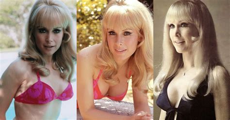 Actress barbara eden made her film debut in 1956's back from eternity. 70+ Hot Pictures Of Barbara Eden From I Dream of Jeannie ...