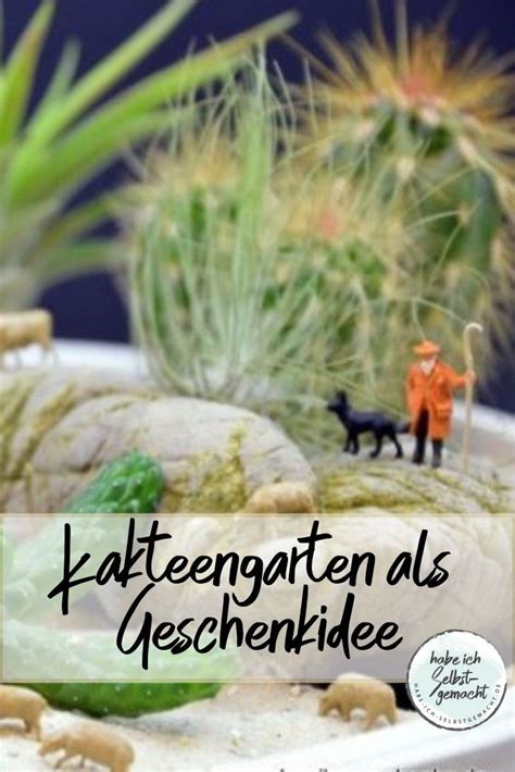 Maybe you would like to learn more about one of these? Kakteengarten als Geschenkidee | Geschenke, Skurrile ...