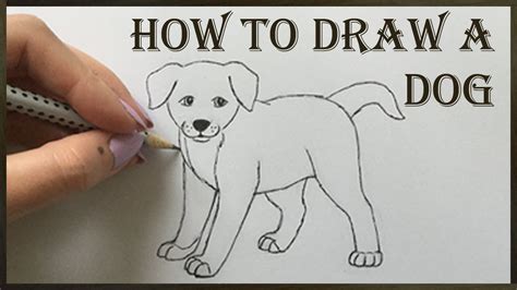To simplify the process, just start with a basic circle. Dog Drawing - How to Draw a Dog - YouTube