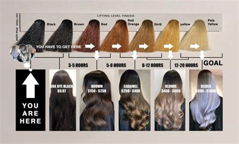 Schwarzkopf color ultime permanent hair color cream, 3.3 amethyst black. This Diagram Will Help You Price & Time Black To Blonde ...