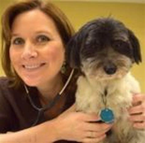 After trying several vets, we brought our dogs to dr. 'Sheer joy': Spay/neuter clinic veterinarian's response in ...