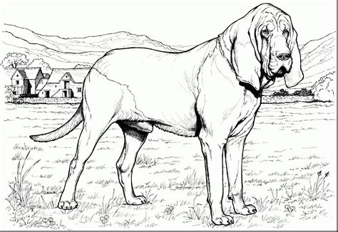 Cute dog colouring pages yggs org. Funny German Shepherd Coloring Pages to Print | Teman