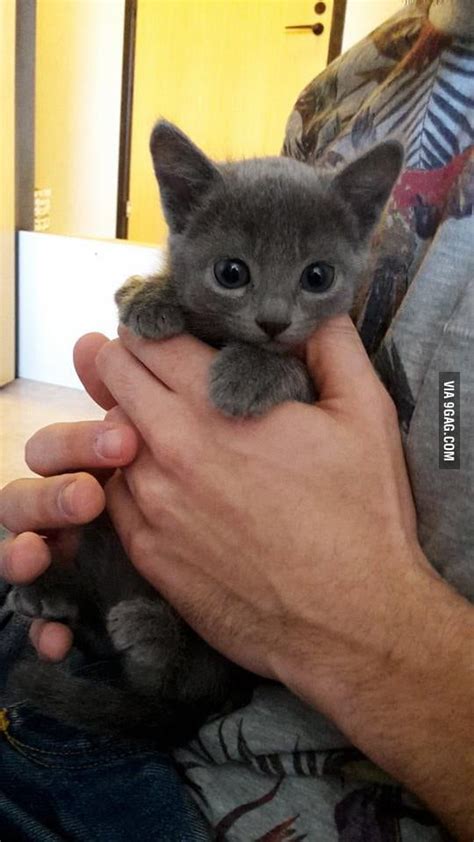 Je vais vous manquer, bonjour mon ami. Say Hello to my new friend! - 9GAG
