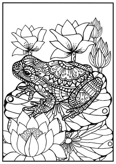 Picture colouring pages, artistic design, illustrations. coloring for adults frog on a lily leaf | Frog coloring ...