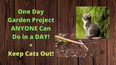 Is there any foolproof method of keeping cats out of our garden? One DAY Garden Project ANYONE Can Do in a DAY - Keep Cats ...