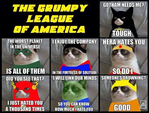 Everyone wants to cuddle with them. Don't count on Super Tard! | Grumpy cat humor, Grumpy cat ...