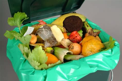 Kalimat ini biasanya mengacu pada material sampah yang dihasilkan dari kegiatan manusia, dan biasanya dikelola untuk mengurangi dampaknya terhadap kesehatan, lingkungan, atau estetika. Sampah organik - Cara memisahkan sampah organik dan sampah ...