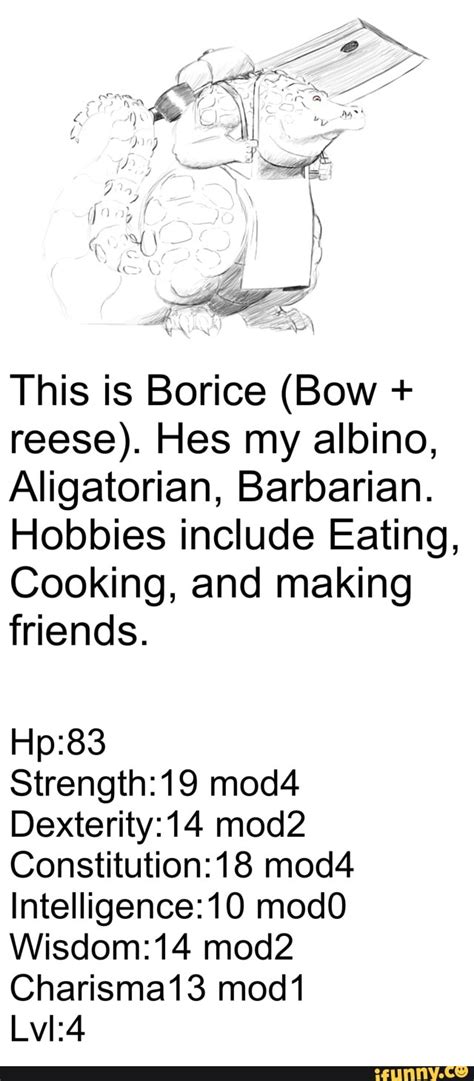 This is Borice (Bow + reese). Hes my albino, Aligatorian ...