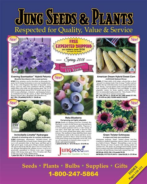 Sep 22, 2021 · the general rule is to plant bulbs at a depth of three times the width of the bulb, but refer to our chart above for specific planting depths. Browse our 2018 Spring Catalog | Plant catalogs, Plants ...