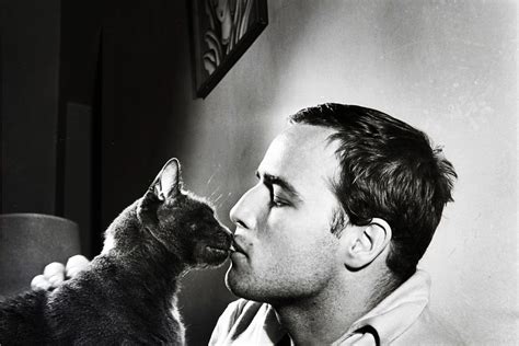 Felix, figaro and sylvester are good names for black and white cats. Halloween Special: Famous Black Cats and their Owners ...