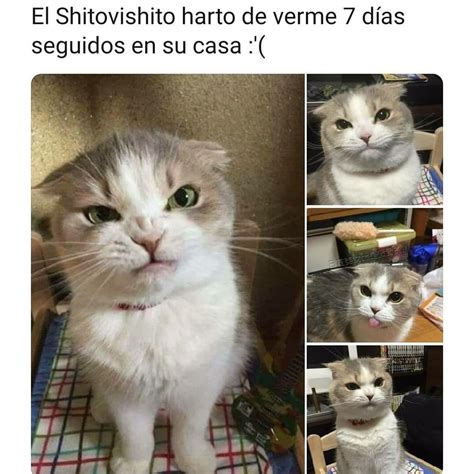 Desde este jueves a las 22 horas inicia la cuarentena total dispuesta para siete comunas de santiago: Pin en JAJAJA